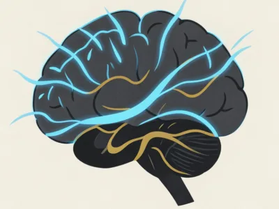 Illustration of a human brain with blue and orange neural pathways.