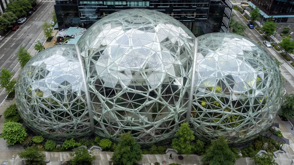 Amazon spheres NW.jpg