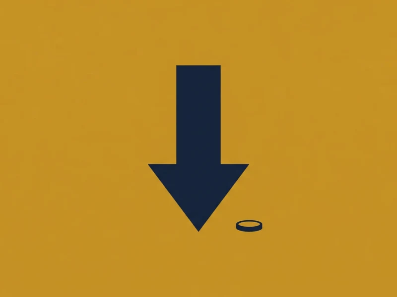Large navy downward arrow pointing toward a small circular disc on an orange background, implying a download action.