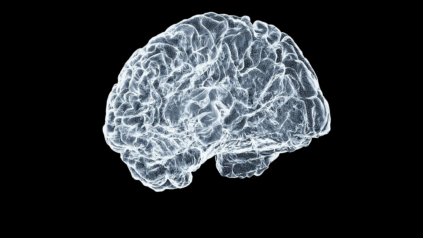57 milionów pacjentów, za mało danych i AI jako ostatnia deska ratunku - jak C-BRAIN walczy z demencją