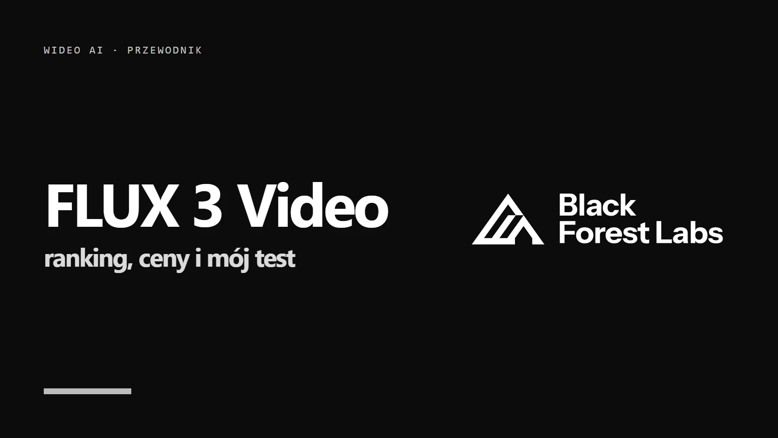 Logo Black Forest Labs i napis FLUX 3 Video - ranking, ceny i mój test