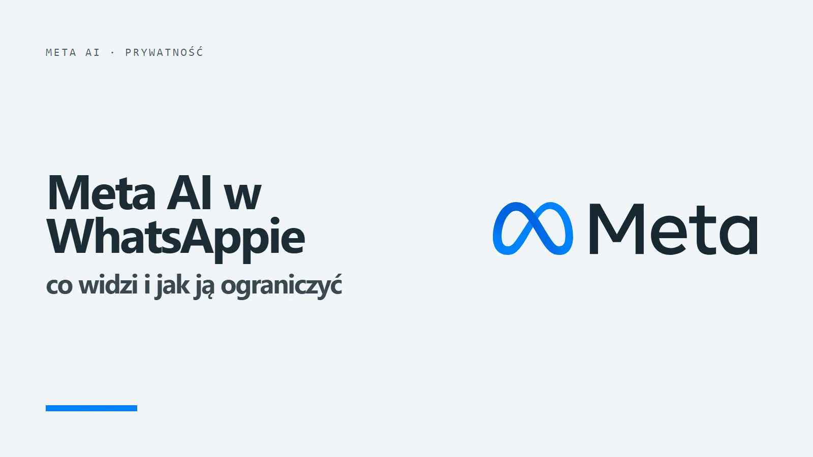 Logo Meta i napis Meta AI w WhatsAppie - co widzi i jak ją ograniczyć