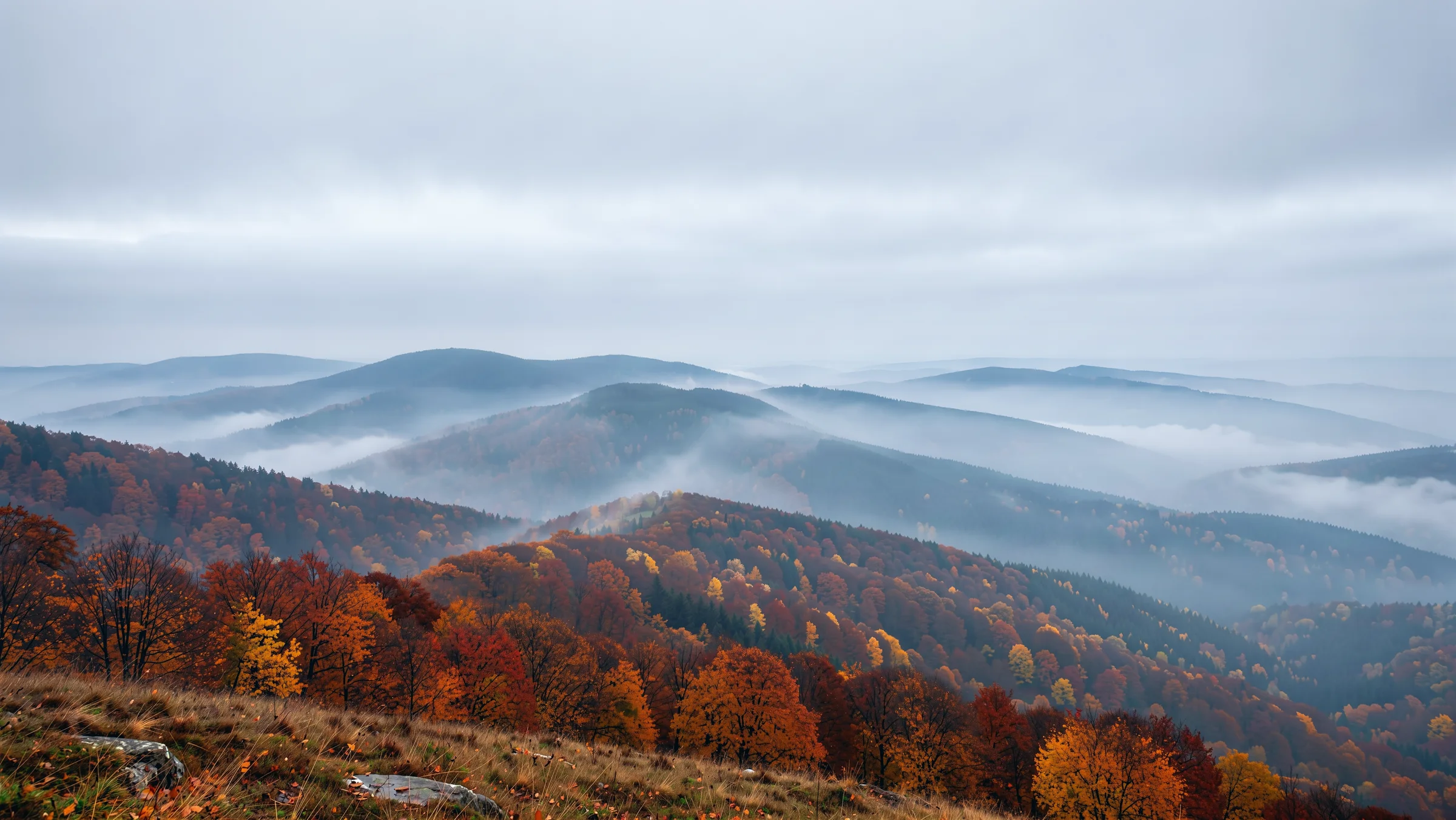 Jesienne Bieszczady: warstwy wzgórz we mgle i czerwono-pomarańczowe buki, tapeta 4K